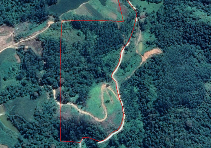 Sítio a venda - Vidal Ramos - 74 mil m²