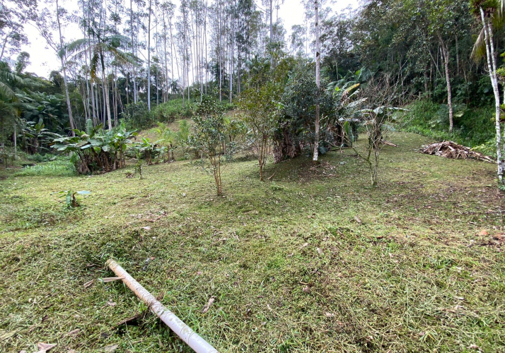 Terreno para Sítio a Venda - Guabiruba - 450 Mil
