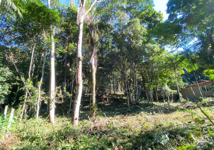 Estaleiro Terreno 2860m²
