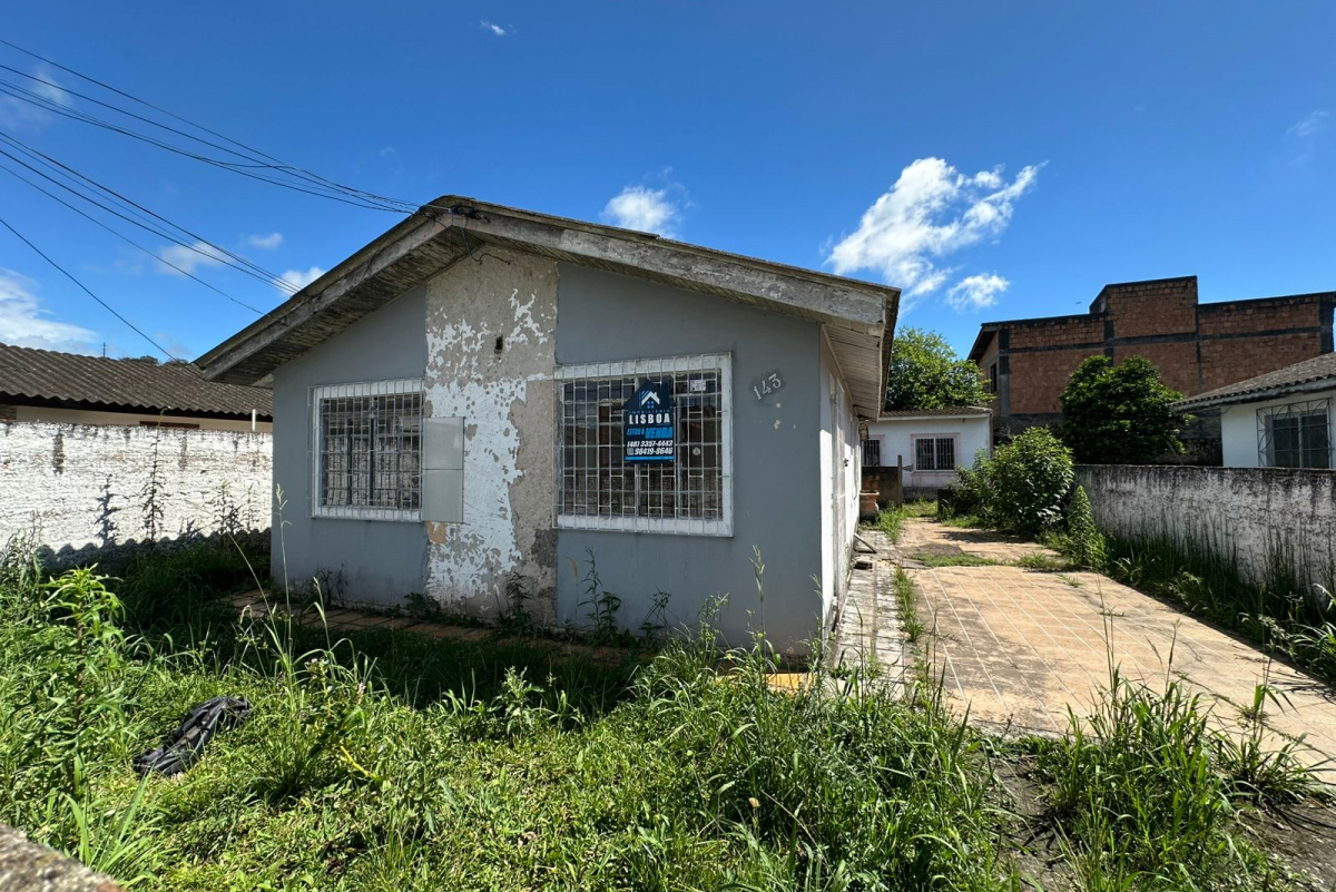 CA81382