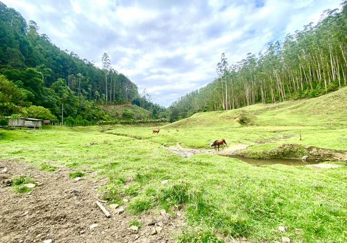 Sítio Área Rural 230.000m²