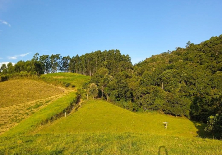 Sítio a Venda - Vidal Ramos - 480 Mil - 78.000 m²