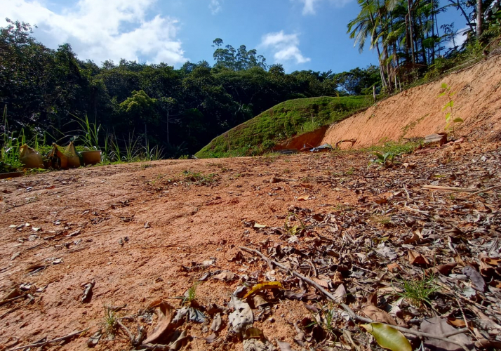 Terreno para Sítio - 1650 m² - Guabiruba - 280 Mil