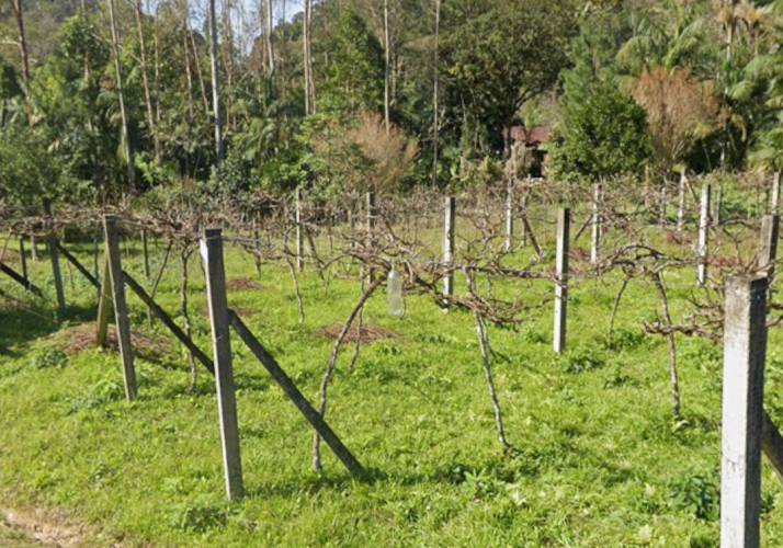 Terreno a Venda para Sítio - Guabiruba - 170 Mil