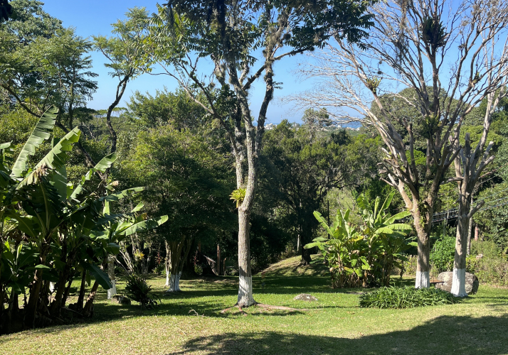 Lindo sítio com 3 residências!